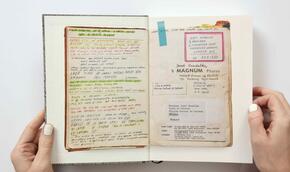 Tomáš Pospěch: Deníky Josefa Koudelky