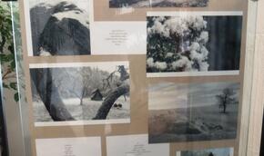 Aleš Pavelka: "Do vlásků Lásku pošeptat…"