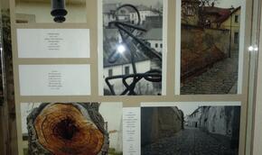 Aleš Pavelka: Poezie ve městě