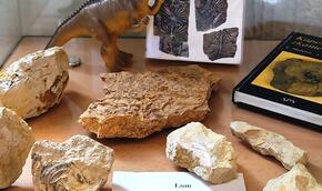 Fosilie - další koníčkářská výstava