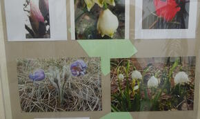 Aleš Pavelka: Fotografie a básně