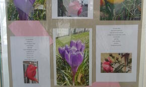 Aleš Pavelka: Fotografie a básně