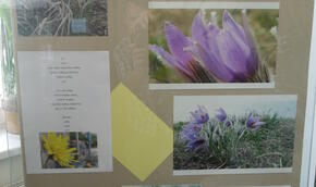 Aleš Pavelka: Fotografie a básně