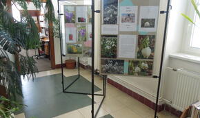 Aleš Pavelka: Fotografie a básně