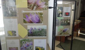 Aleš Pavelka: Fotografie a básně