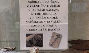 Fosilie - další koníčkářská výstava