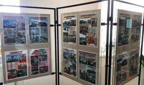 Zahraniční knihovny očima knihovnic a dekorace ze starých knih