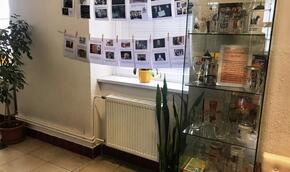 Výstava pivních půllitrů