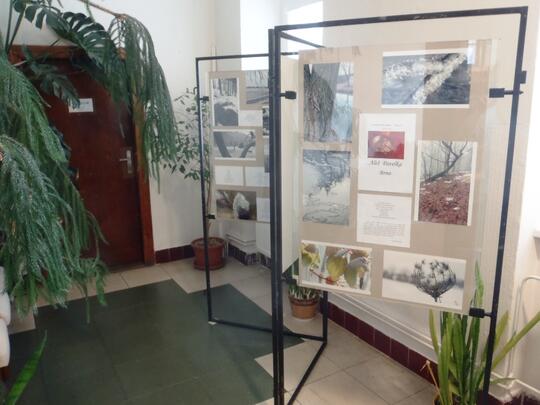 Aleš Pavelka: "Do vlásků Lásku pošeptat…"