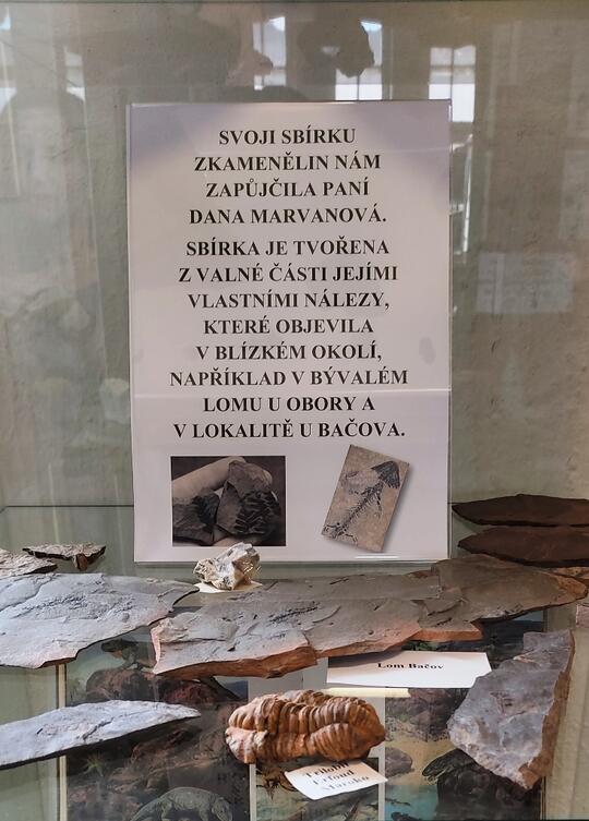 Fosilie - další koníčkářská výstava