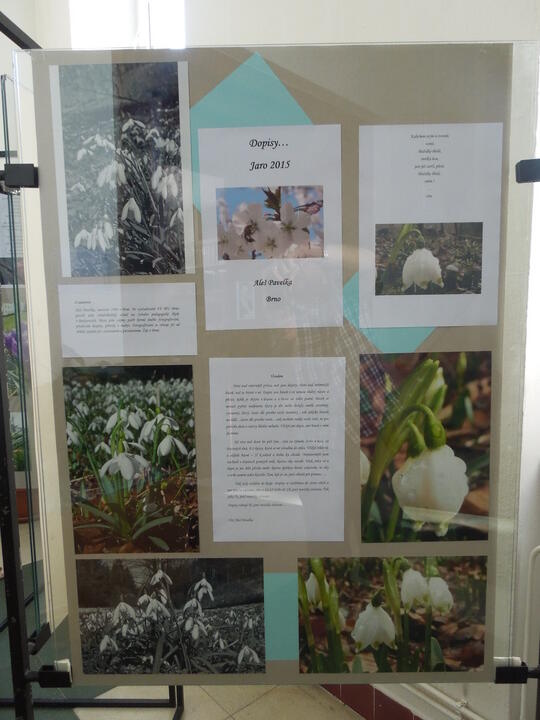 Aleš Pavelka: Fotografie a básně