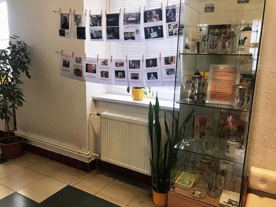 Výstava pivních půllitrů